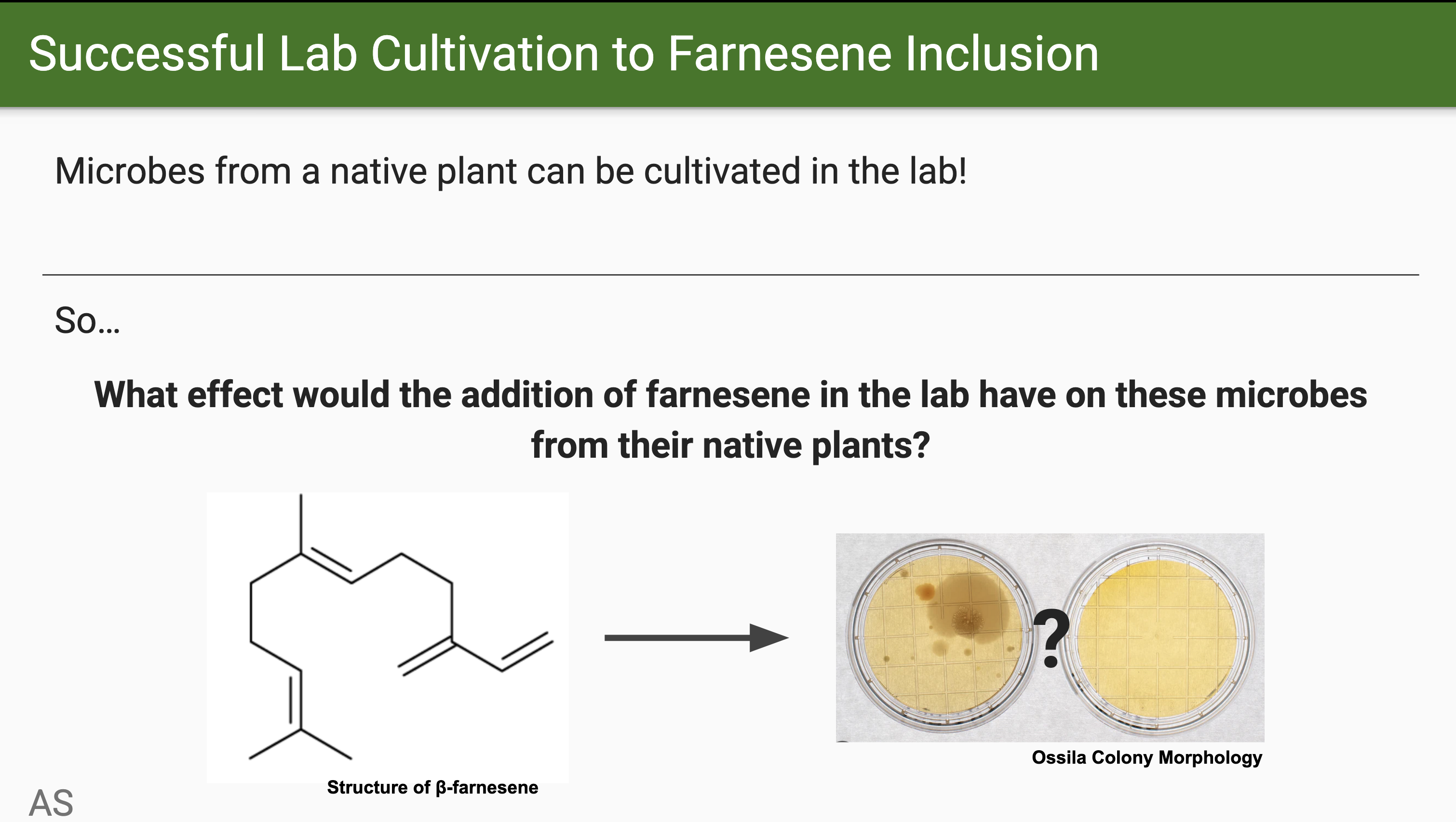 Slide 29